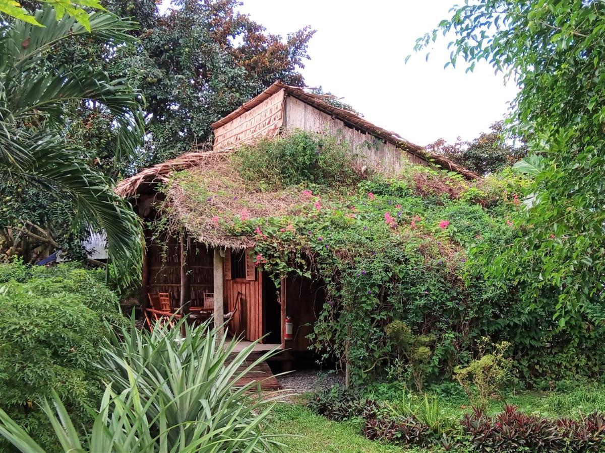 קאן טו Mekong Delta Ricefield Lodge מראה חיצוני תמונה