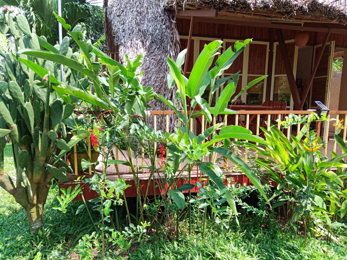 קאן טו Mekong Delta Ricefield Lodge מראה חיצוני תמונה