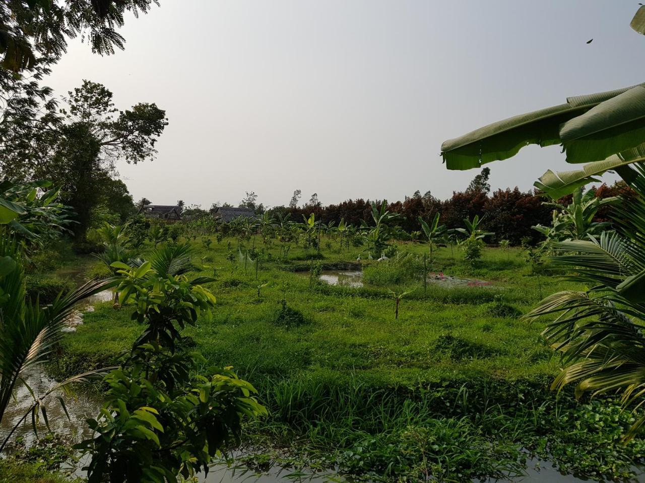 קאן טו Mekong Delta Ricefield Lodge מראה חיצוני תמונה